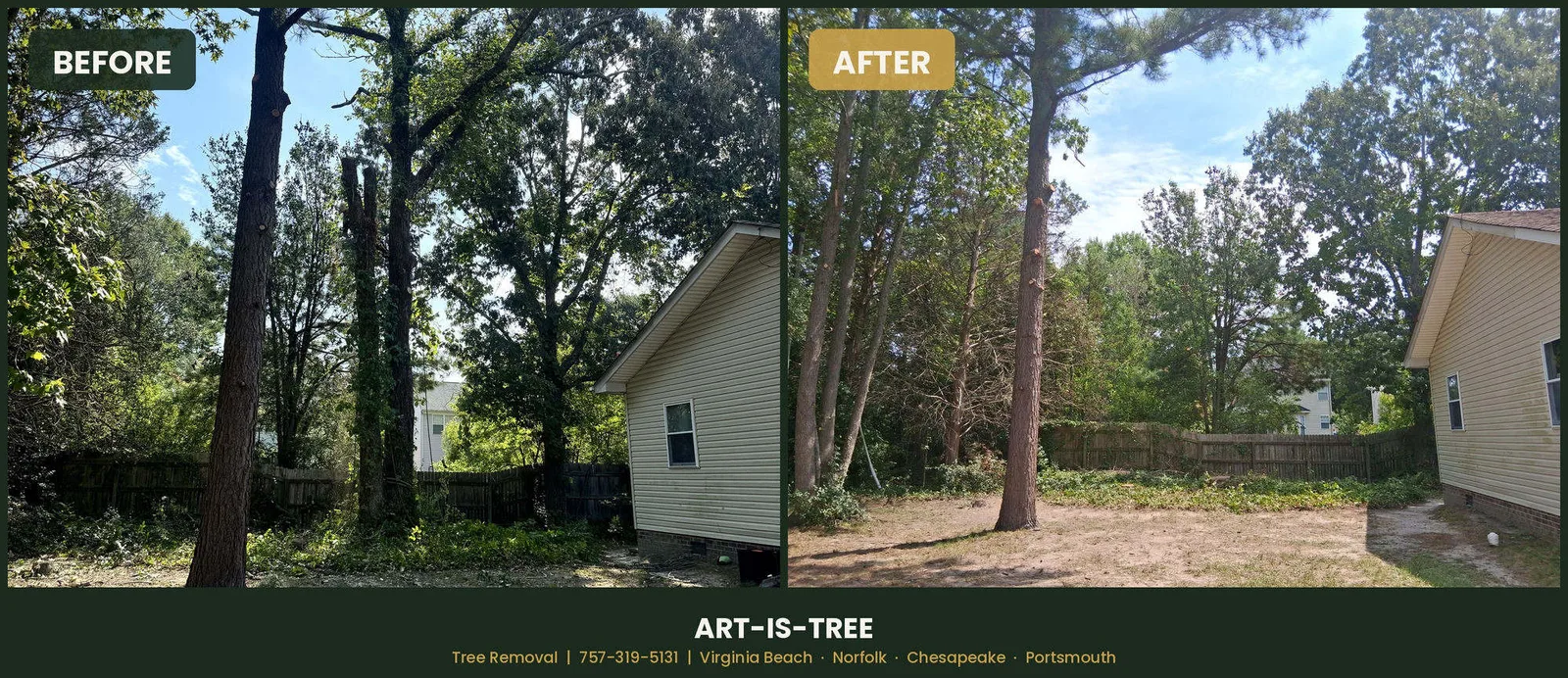 Before and after tree removal in Virginia Beach, VA — a storm-broken pine spar and crowded hardwoods cleared from a backyard beside a house, debris hauled away by Art-is-Tree LLC