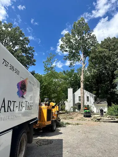 Art-is-Tree LLC branded tree service truck on a job site near the Virginia Beach Municipal Center (Courthouse), VA