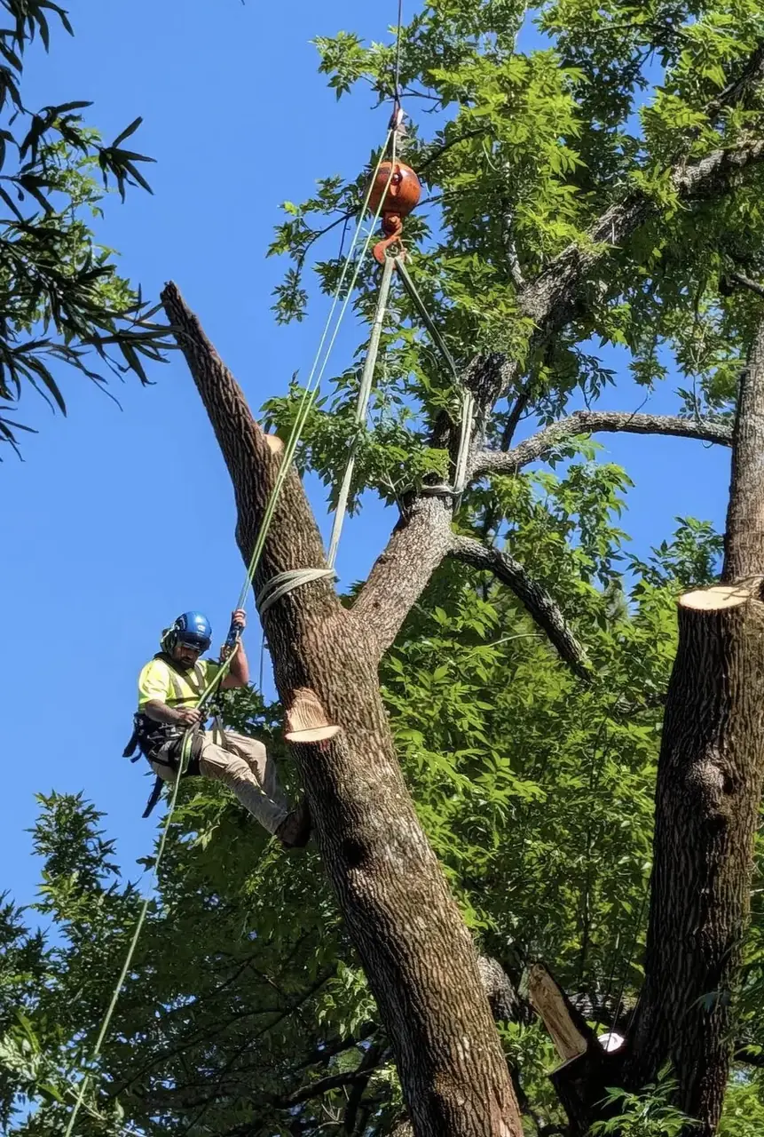 Owner in a blue hard hat rigging a large ash lead to a crane in Kempsville