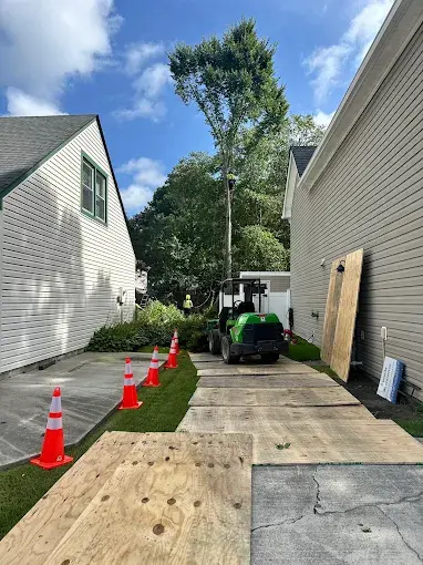 Driveway protected with cones and plywood during a tree removal in Red Mill, Virginia Beach, VA