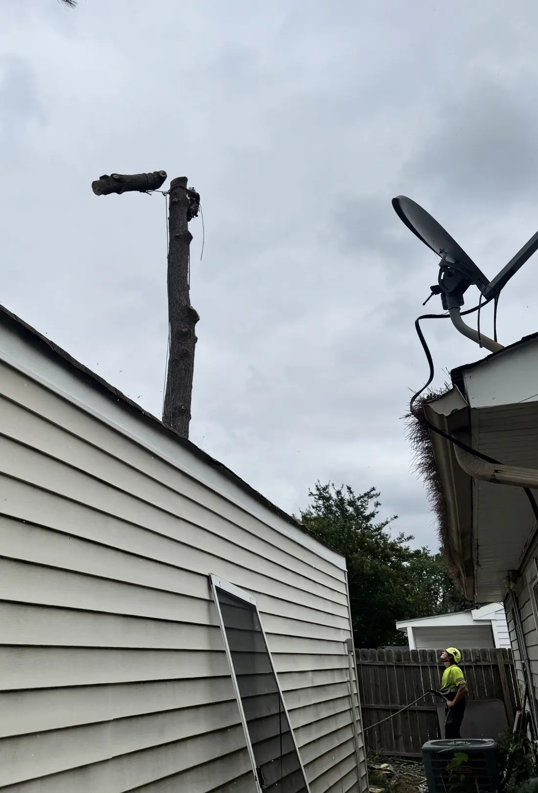 A controlled spar removal beside a Virginia Beach house with rigging in place