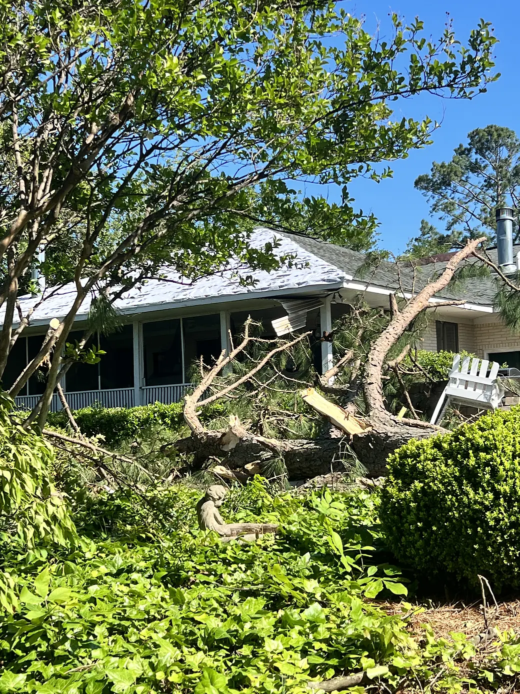 A large pine snapped by a tornado resting against a house in the Broad Bay Island neighborhood of Virginia Beach