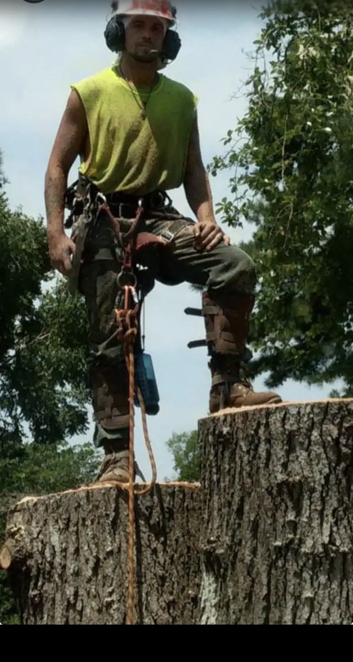 An Art-is-Tree climber in helmet and safety gear during a Virginia Beach removal